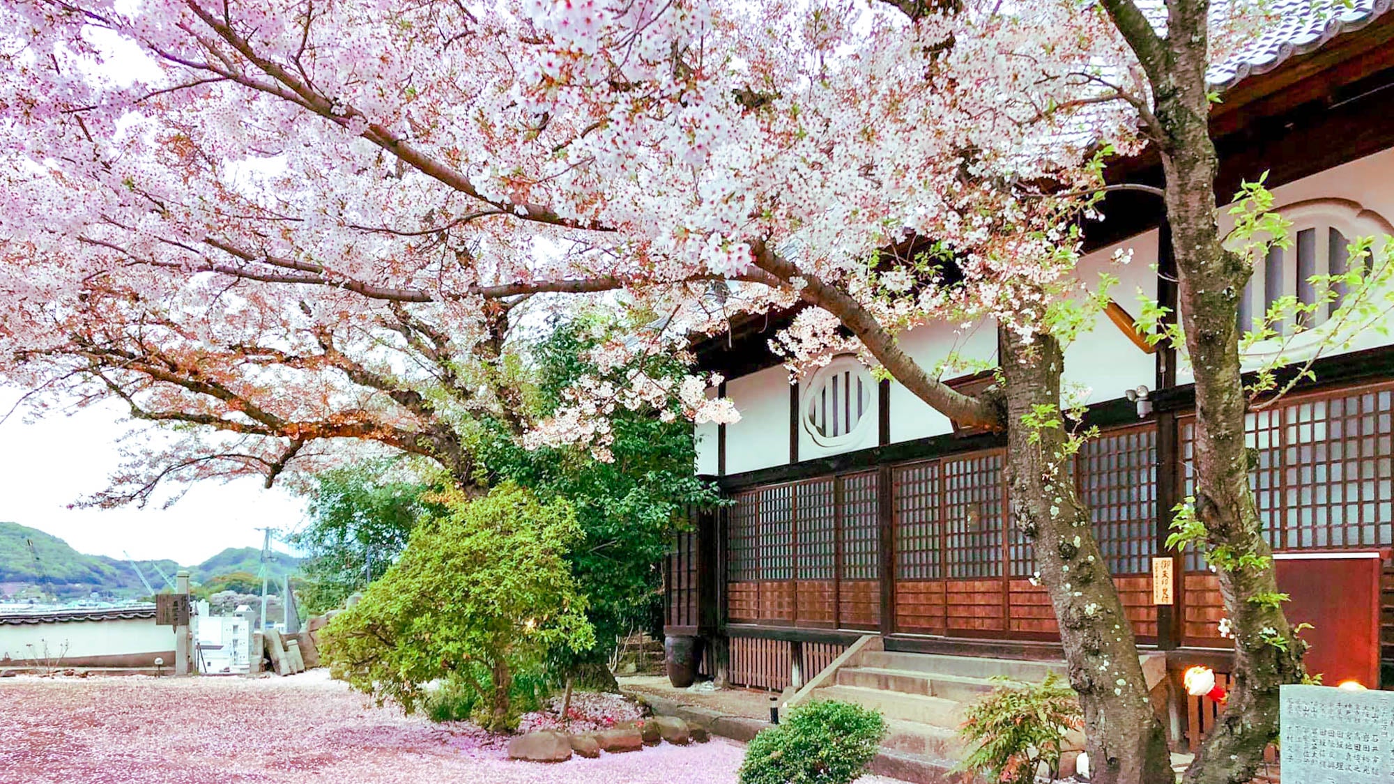 得生山 信行寺の外観