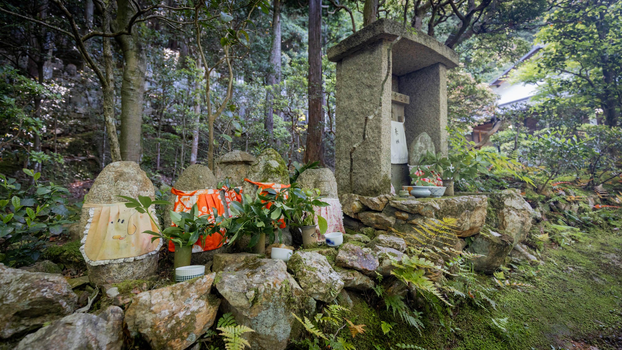 頂後山 光照寺の境内 4