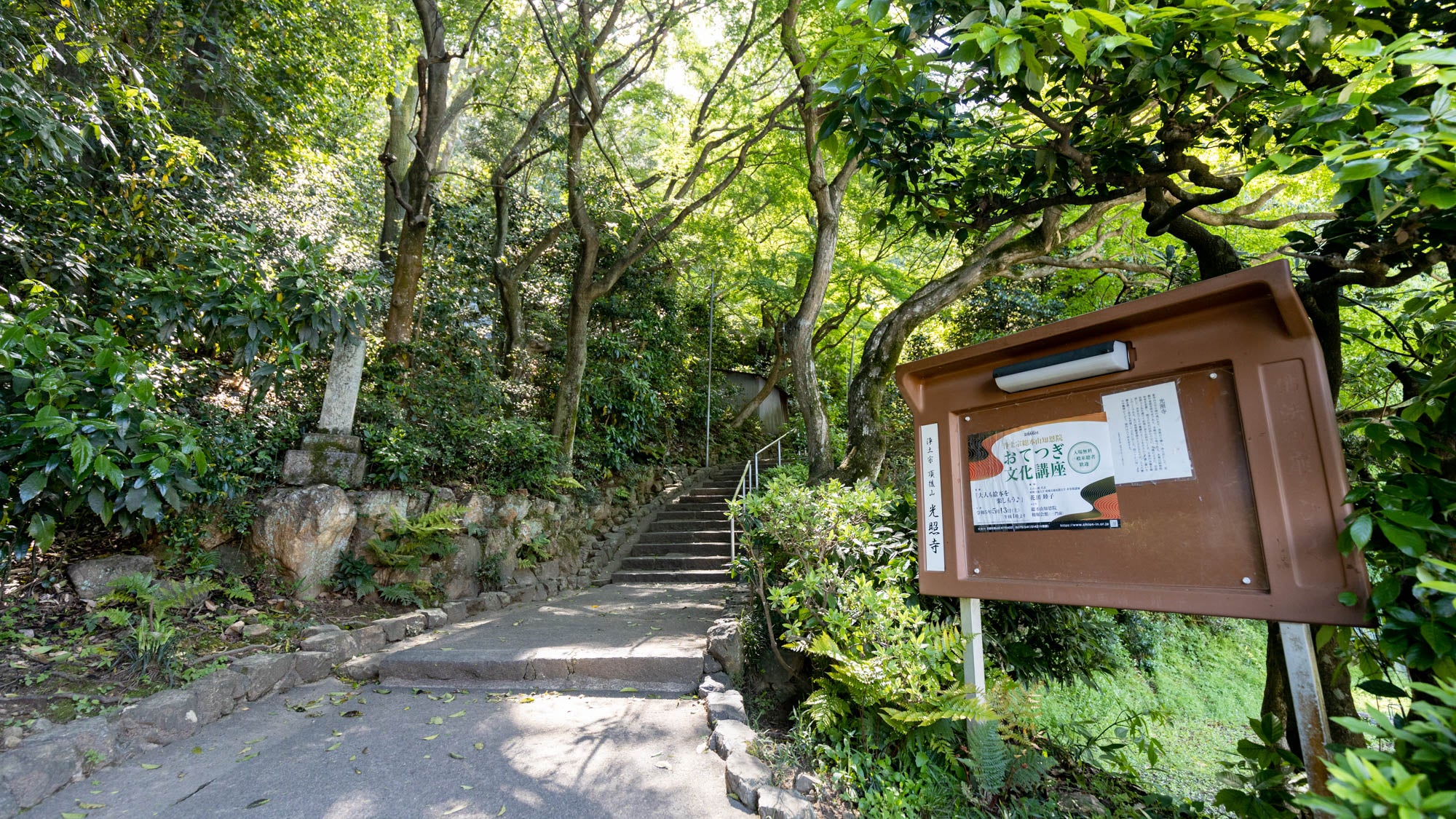 頂後山 光照寺の境内 5