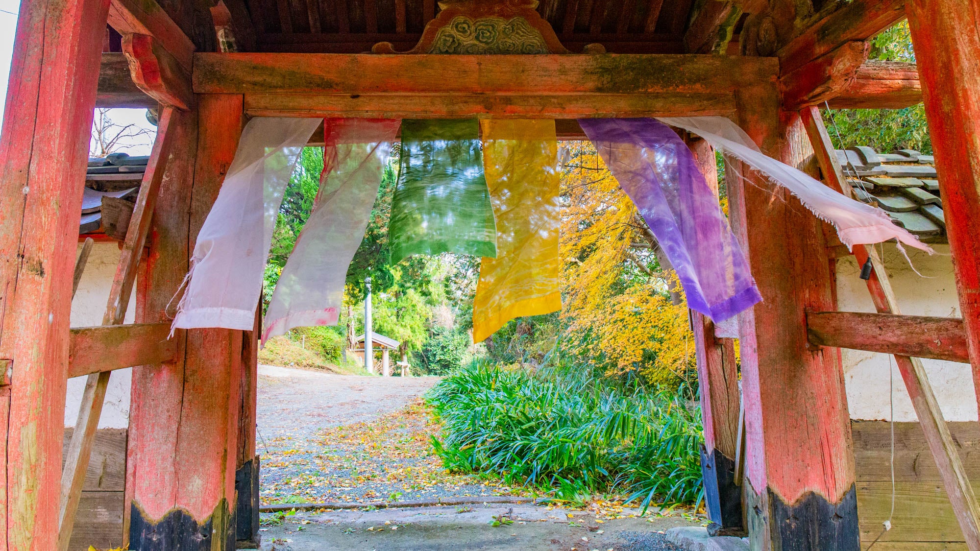 金剛座寺の境内 5