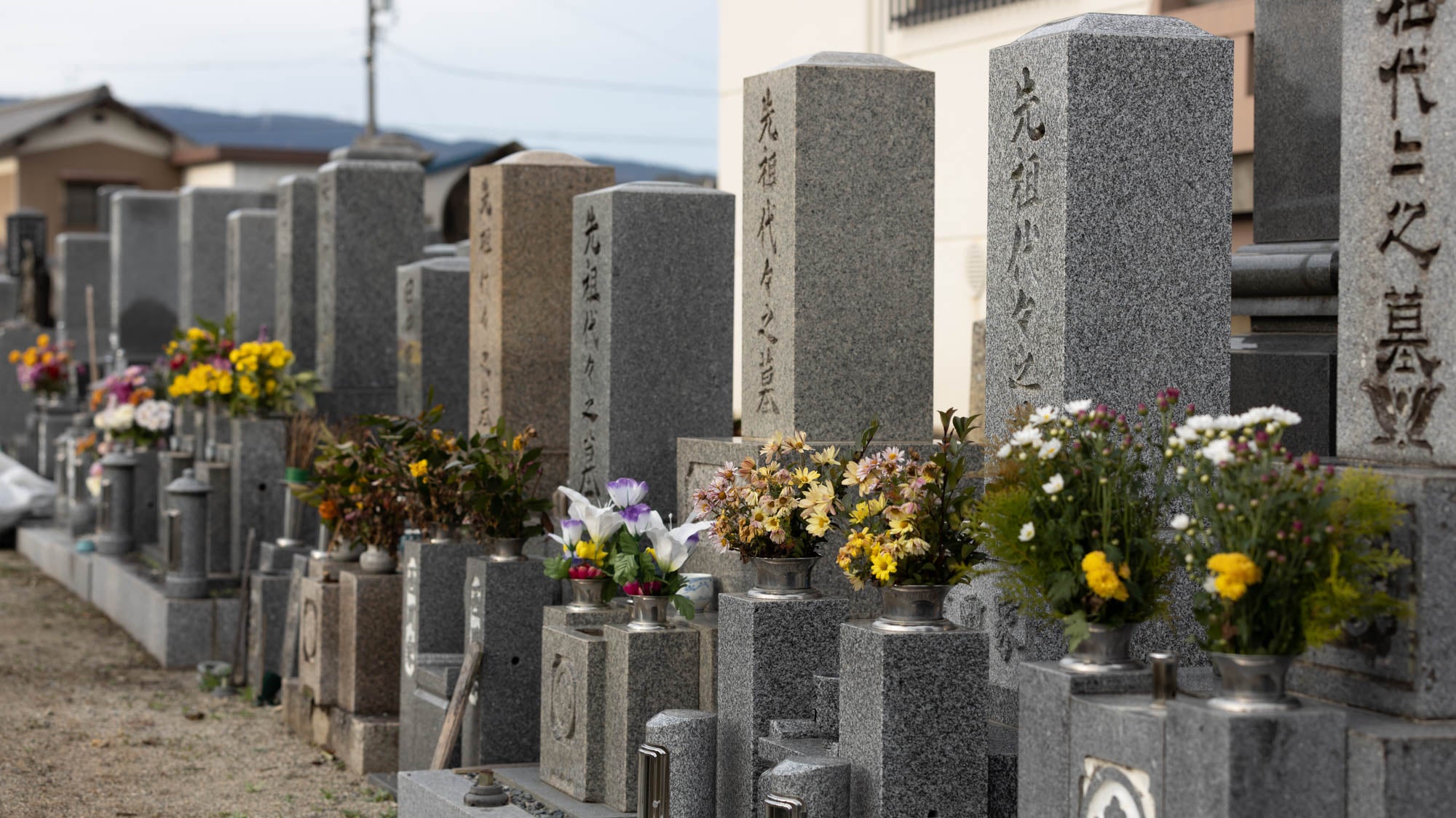 西稱寺の境内 8