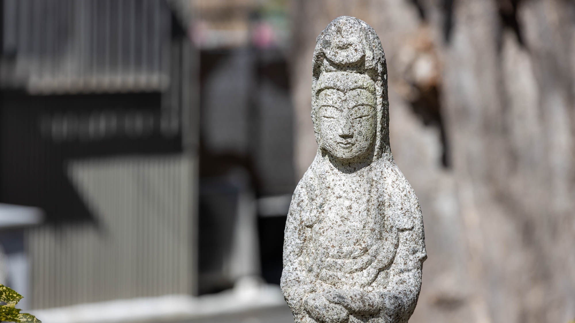 万松山 専琳寺の境内 5