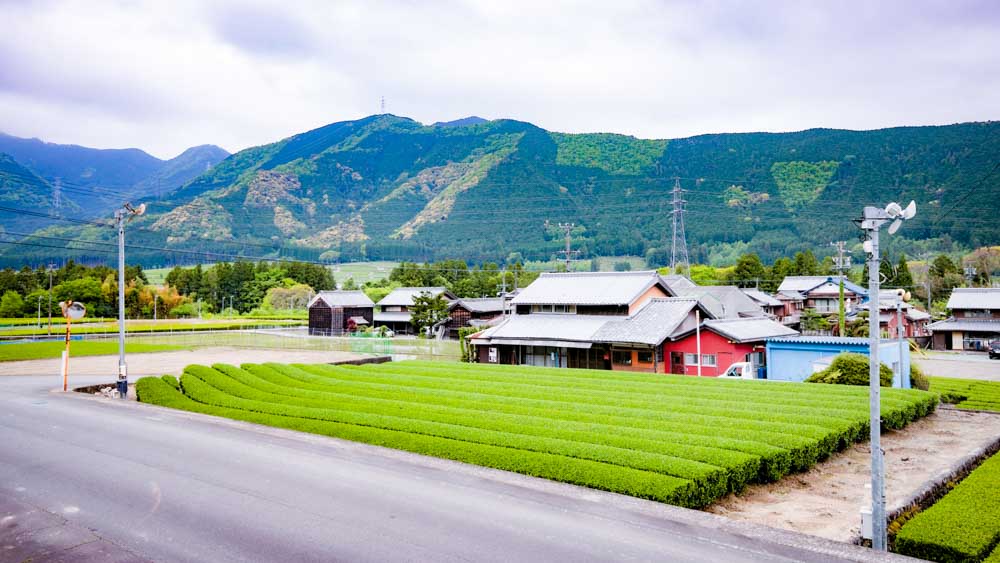 安城山 正東寺の境内 5
