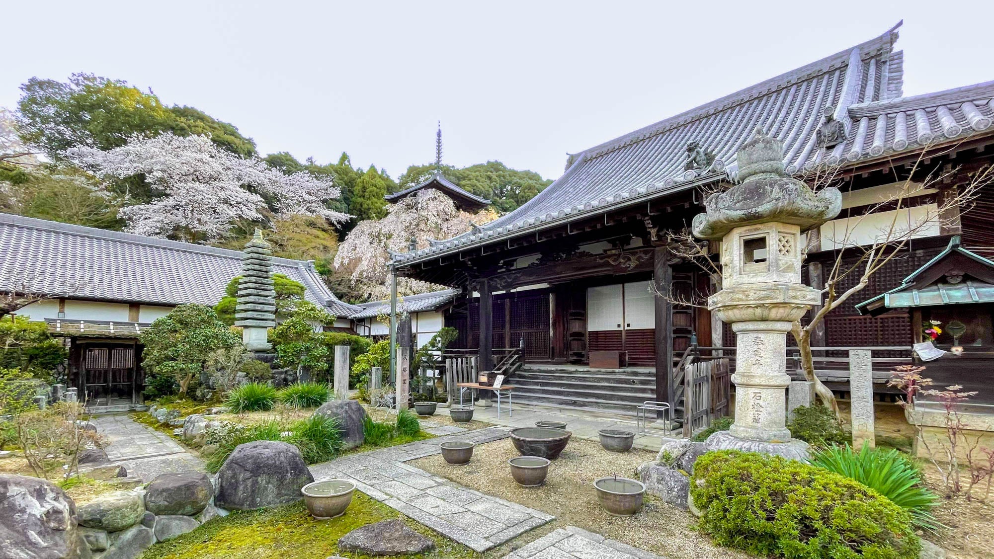 當麻寺 護念院の外観