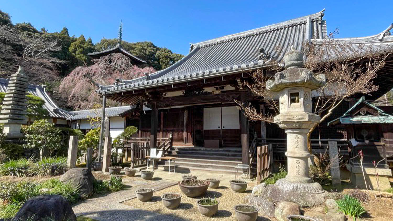當麻寺 護念院の境内 7