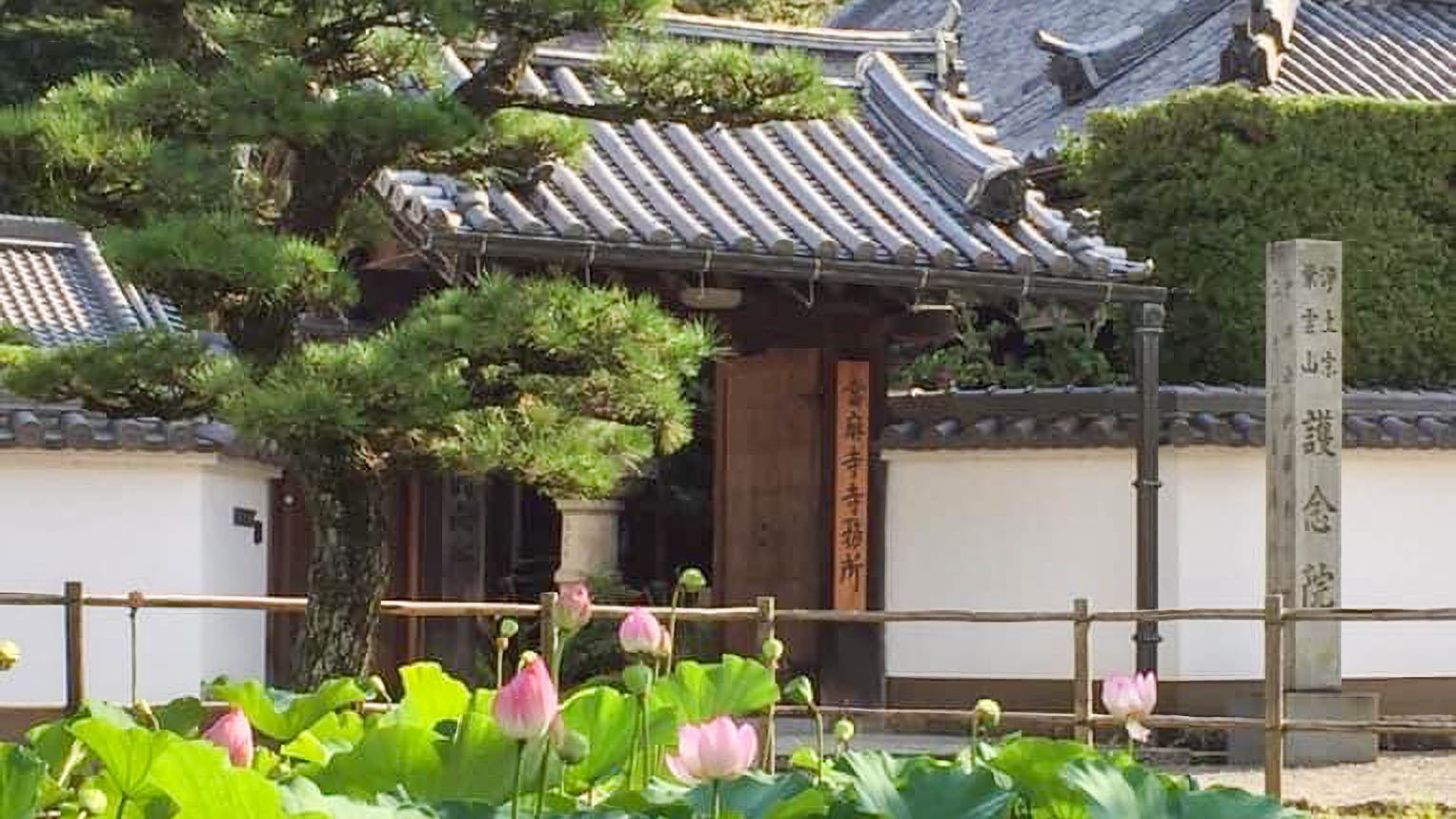 當麻寺 護念院の境内 9