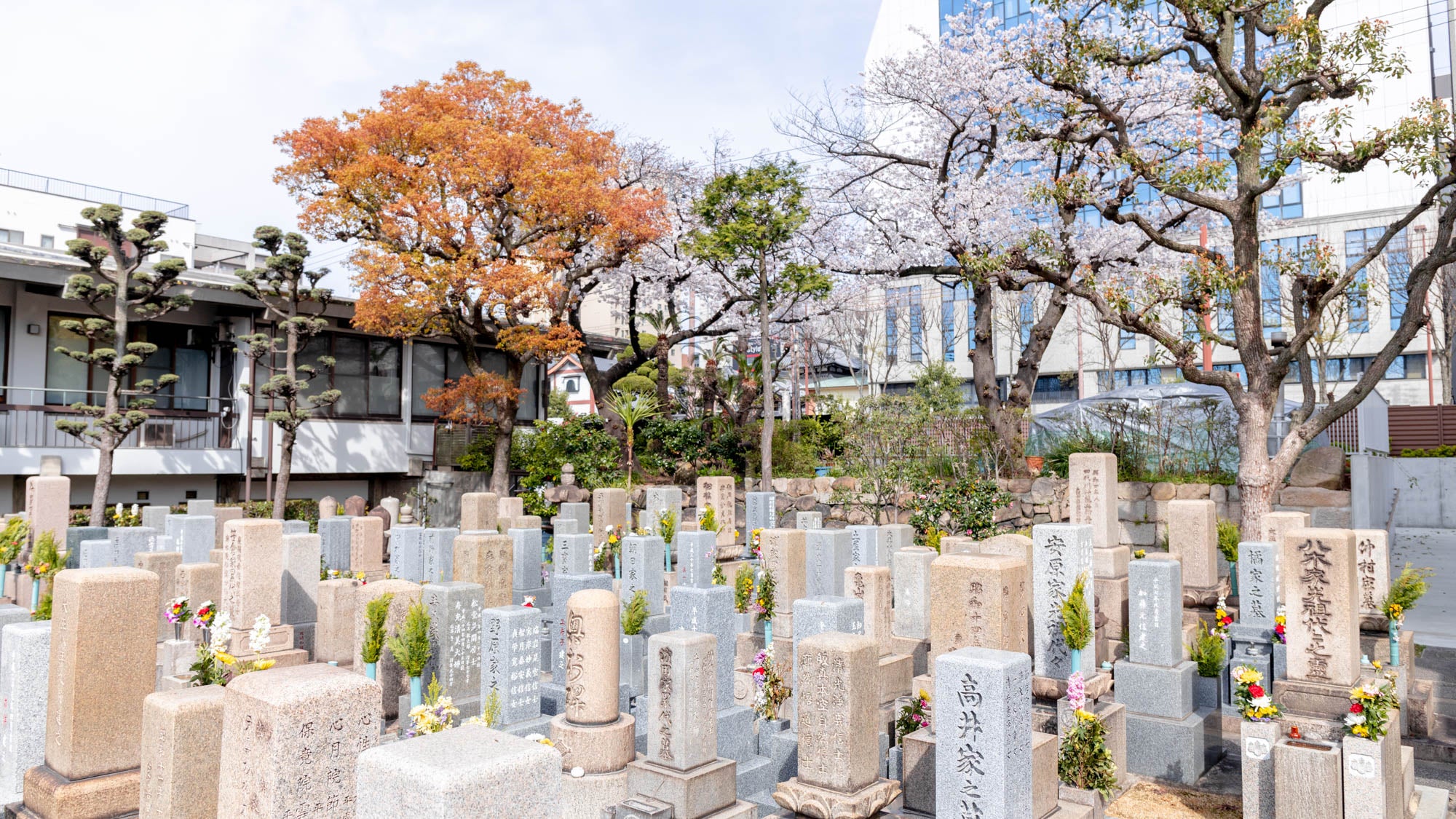 南金山 大仙寺の境内 4