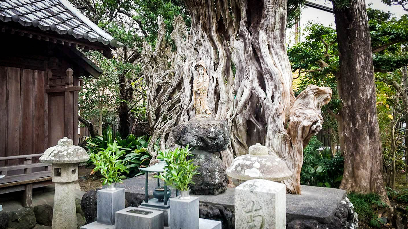 大通山 瑞雲寺の境内 6